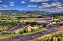 Urlaub am Mont Ventoux: mit der Familie die Provence genießen