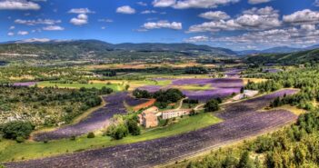 Urlaub am Mont Ventoux: mit der Familie die Provence genießen
