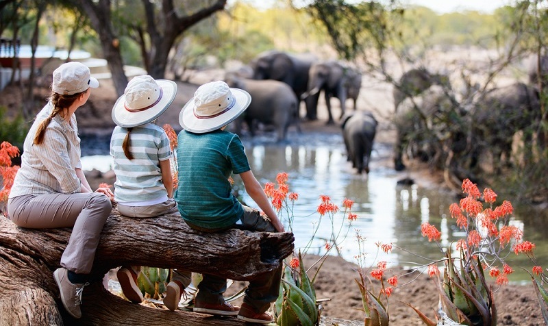 In Südafrika grassieren immer noch Krankheiten, die in Europa nahezu ausgerottet sind.  (Foto: Shutterstock-BlueOrange Studio )