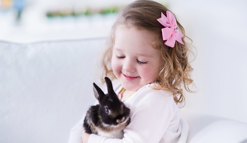 Bei der Frage danach, welches Haustier sich fürs Kind am besten eignet, kommt wohl den meisten Eltern auch erst einmal eines der „klassischen“ Nagetiere ins Gedächtnis. Also das Kaninchen, der Goldhamster oder das Meerschweinchen. (#05)