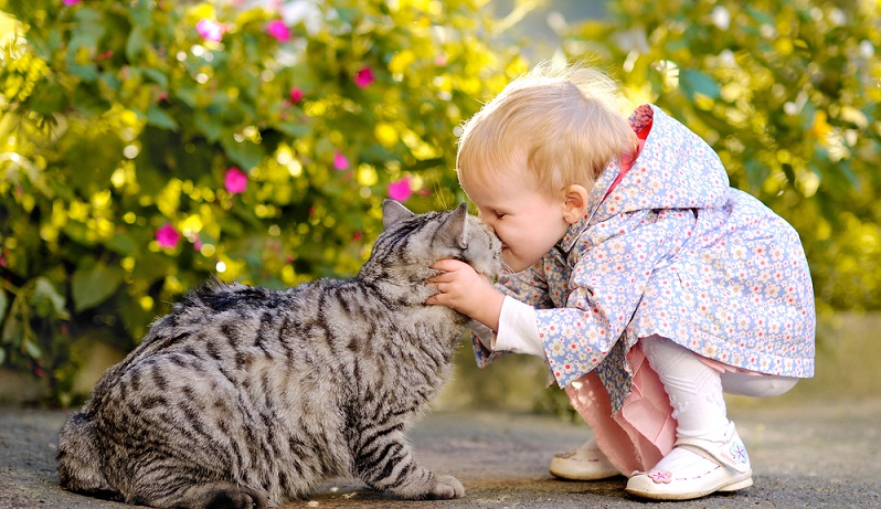 Nicht zu vergessen, wirken Tiere bei Kindern oft auch als Seelentröster und geben ihnen Halt in schwierigen bzw. traurigen Zeiten. Ein Haustier kann sich fürs Kind damit durchaus zu einem echten Seelentröster entwickeln. (#01)