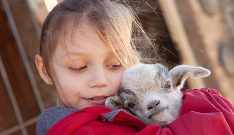 Es ist kein Geheimnis, dass sich Kinder oft positiv und in ihrer Persönlichkeit gefestigter sowie stabiler entwickeln, wenn sie mit einem Haustier aufgewachsen sind. Welches Haustier, spielt dabei erst einmal keine allzu große Rolle. (#02)