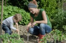 Gärtnern mit Kindern: Welche Pflanzen eignen sich dafür am Besten?