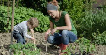 Gärtnern mit Kindern: Welche Pflanzen eignen sich dafür am Besten?